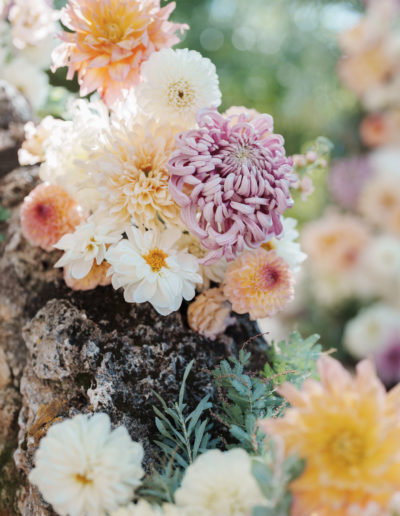 photographe-mariage-domaine Grand Boise-var