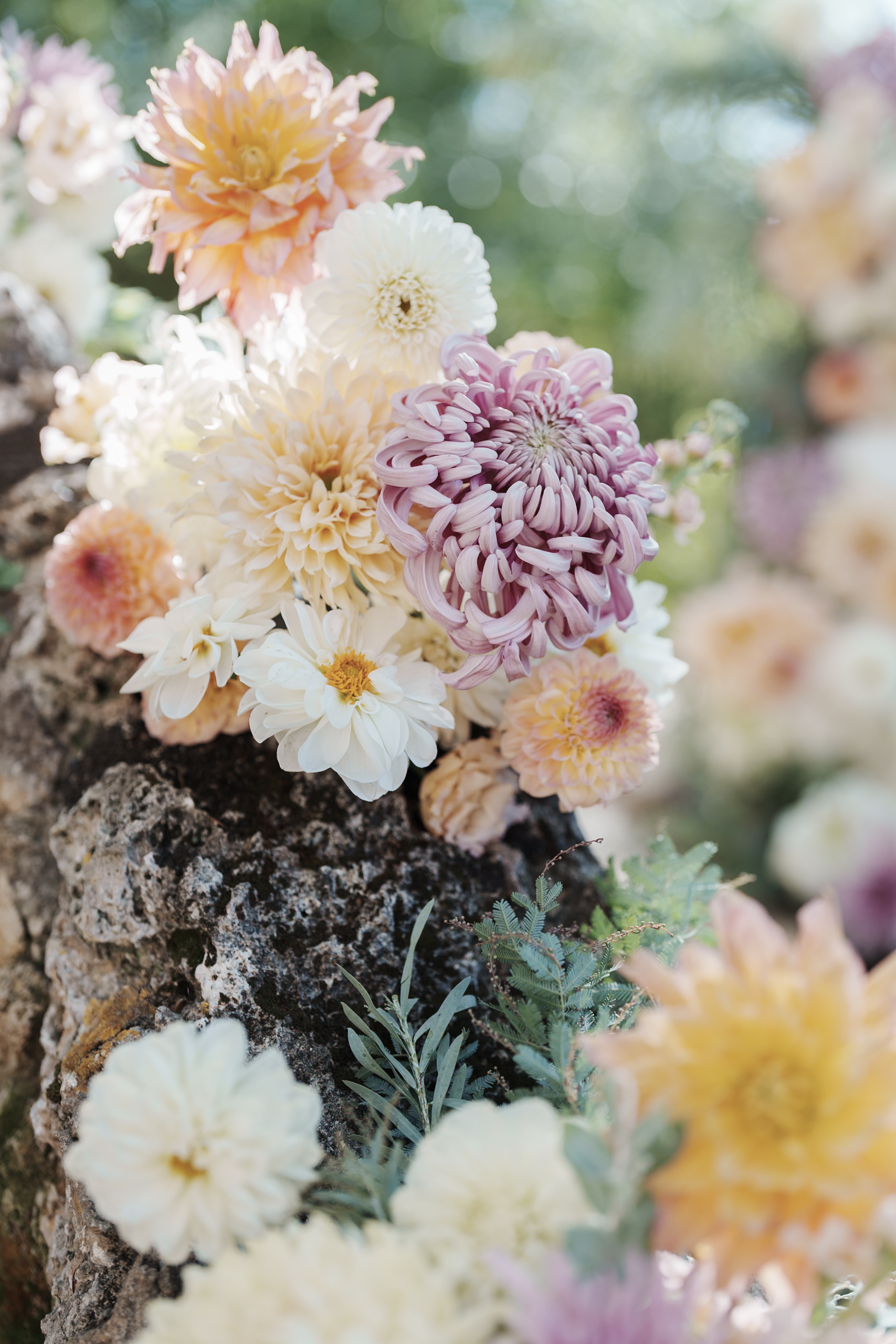 Fleur Paca Mariage